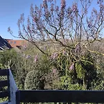 Duinzicht 8 Bed By The Sea